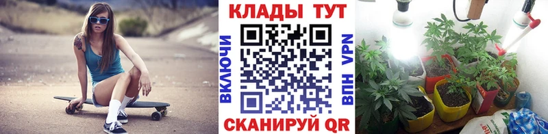 Наркошоп купить Cocaine  БУТИРАТ  Гашиш  Меф  Шадринск