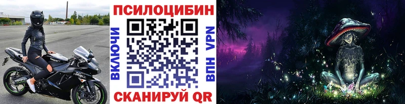 Купить где  Шадринск  Галлюциногенные грибы прущие грибы 
