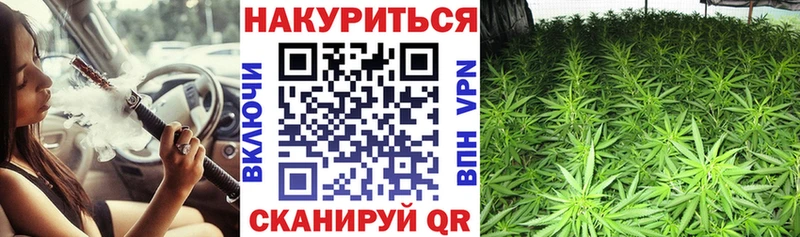 МАРИХУАНА Bruce Banner Купить Шадринск